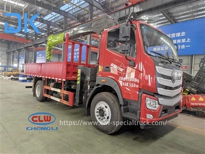 Foton Auman 4,5 metra hjólhaf Vison Supreme Edition 10 tonn
